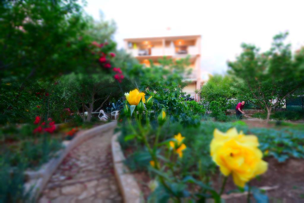 Silvana Sunset View Apartment *