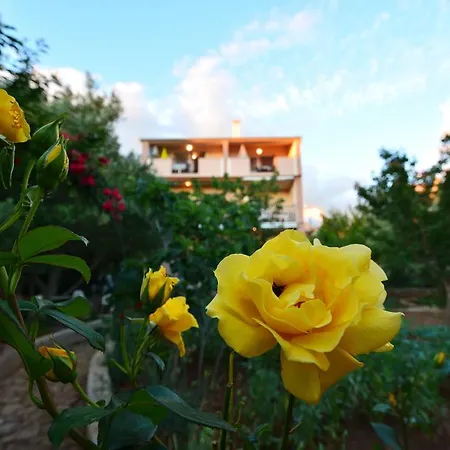 Apartments Silvana Sunset View Zadar Exterior foto